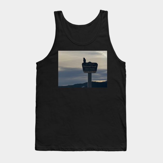 Mt hood beauty Tank Top by Vomit Cult